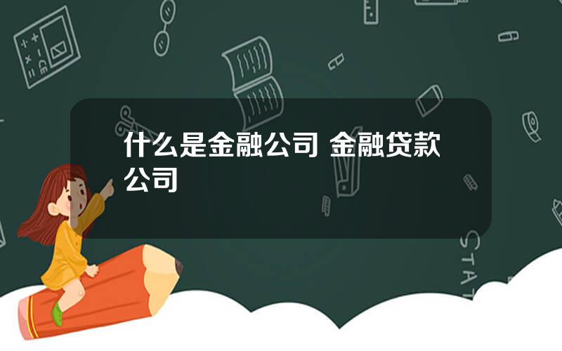 什么是金融公司 金融贷款公司